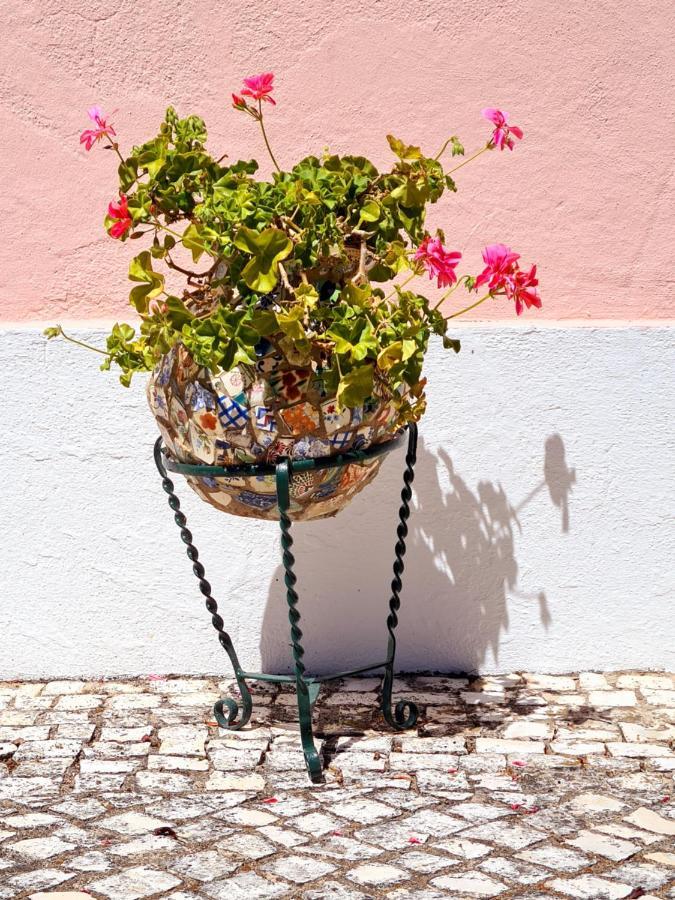 Casa Da Avo Genoveva Guest House โตมาร์ ภายนอก รูปภาพ