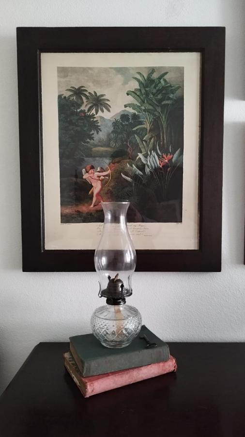 Casa Da Avo Genoveva Guest House โตมาร์ ภายนอก รูปภาพ