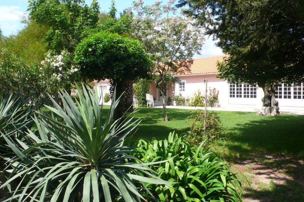 Casa Da Avo Genoveva Guest House โตมาร์ ภายนอก รูปภาพ